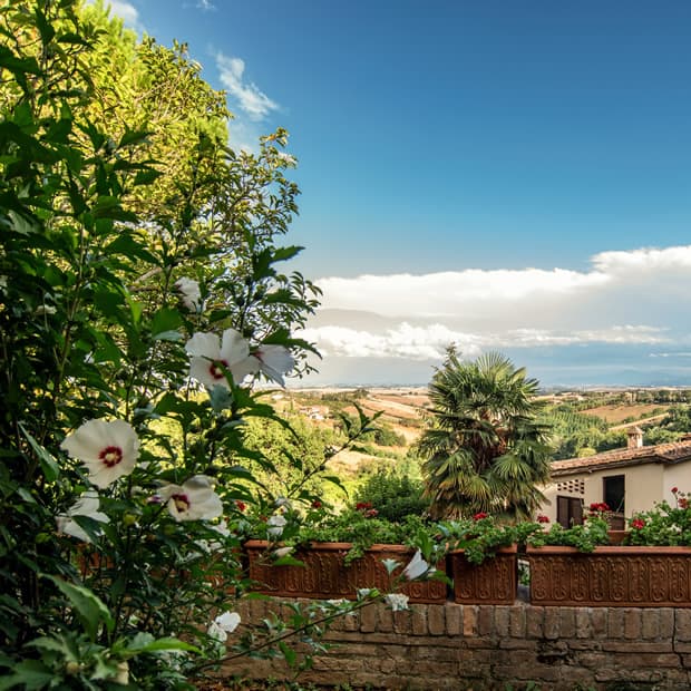 Terraces and planting in the villa gardens